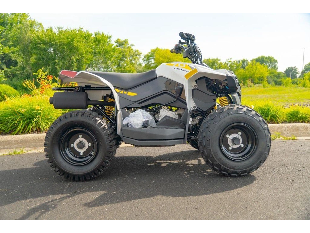 2026 Can-am Renegade 70 Efi alt