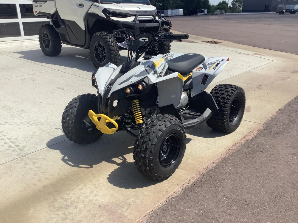 2026 Can-am Renegade 110 alt
