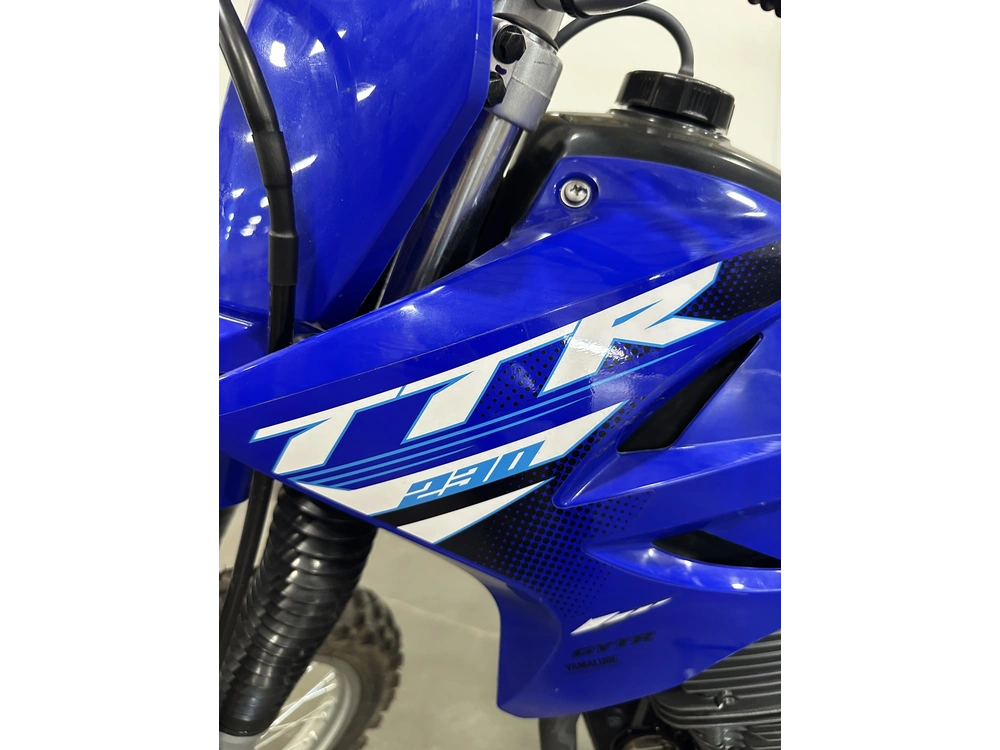 2025 Yamaha Tt-r230 alt