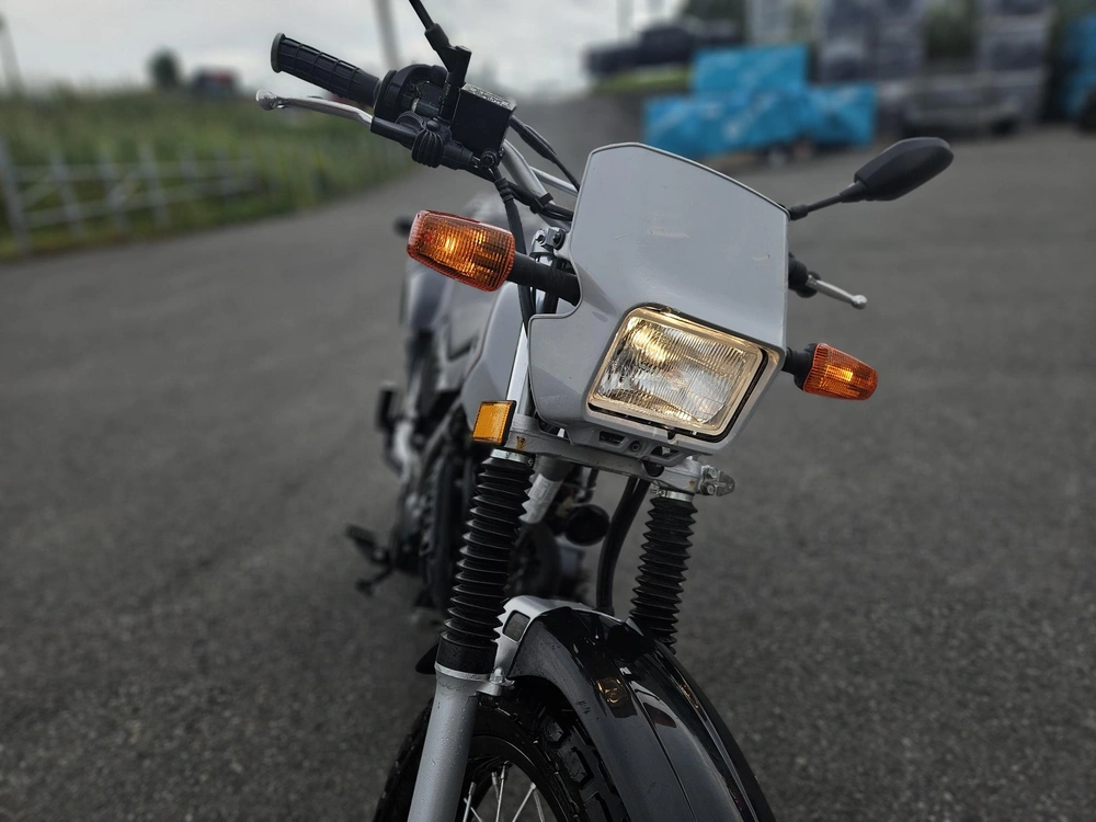 2024 Yamaha Tw200 alt
