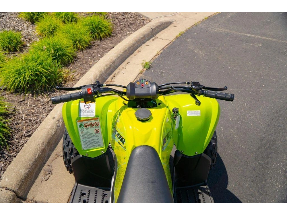 2026 Yamaha Raptor 110 alt
