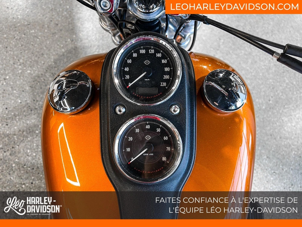 2014 Harley-davidson Fxdl Dyna Low Rider alt