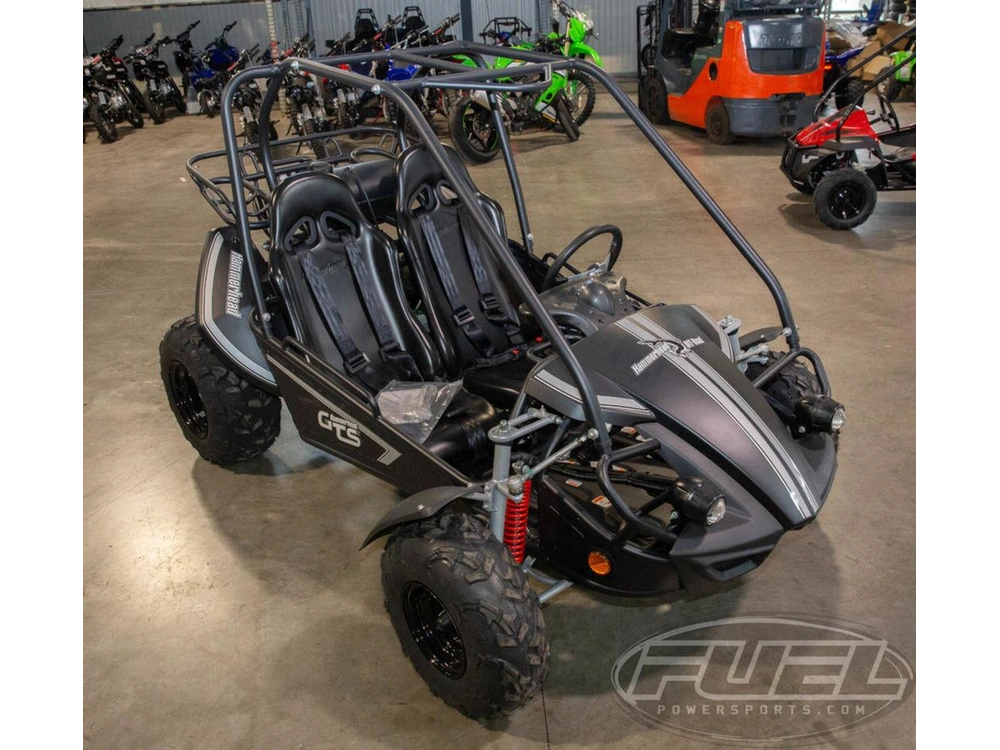 2026 Hammerhead Off-road Gts 150™ alt