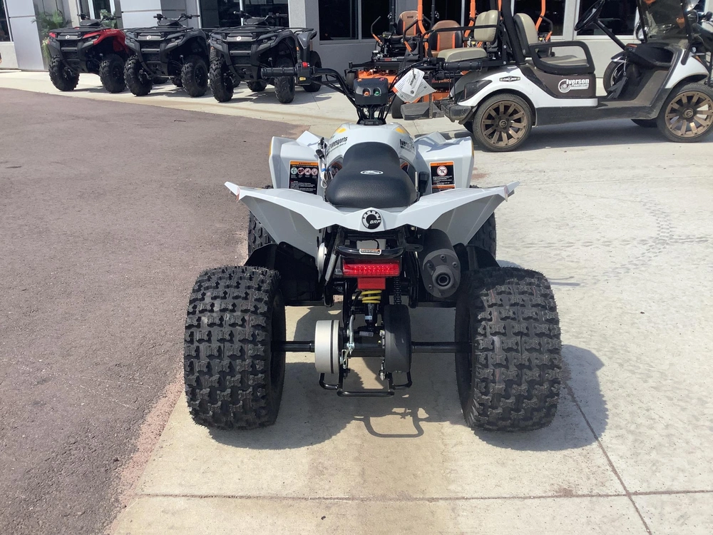 2026 Can-am Renegade 110 alt