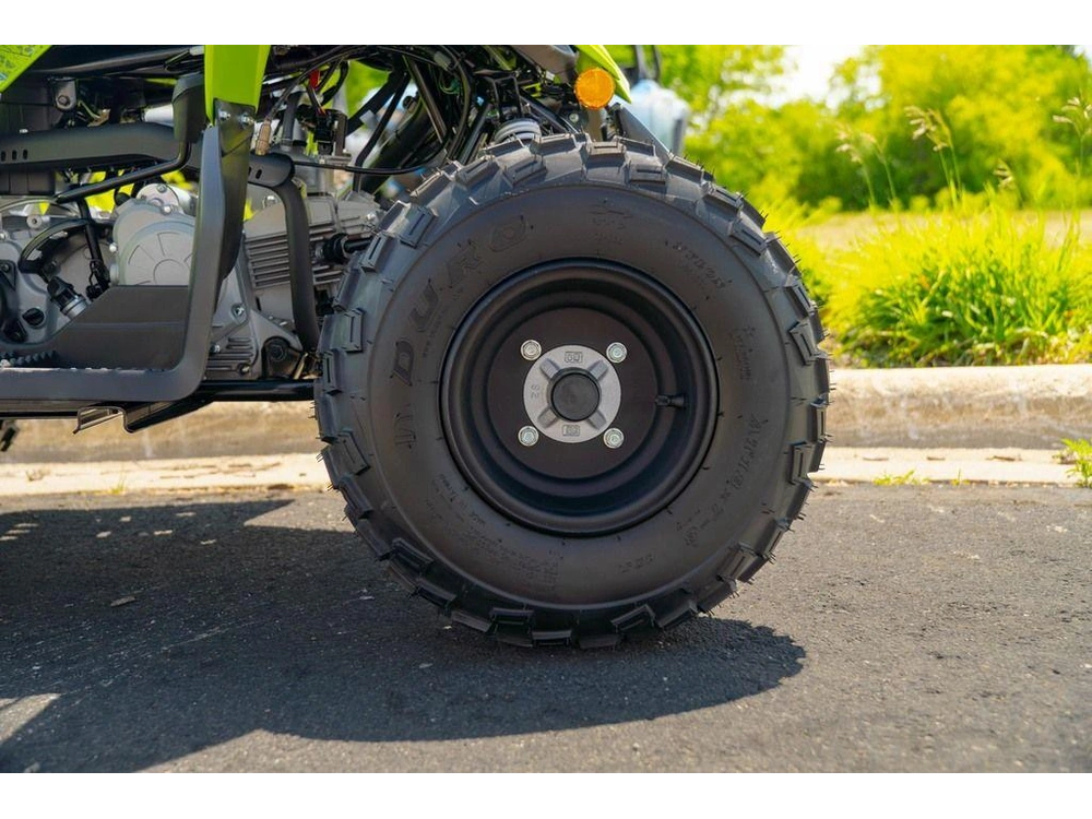 2026 Yamaha Raptor 110 alt
