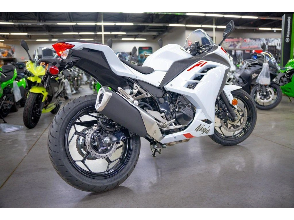 2026 Kawasaki Ninja® 300 Abs alt