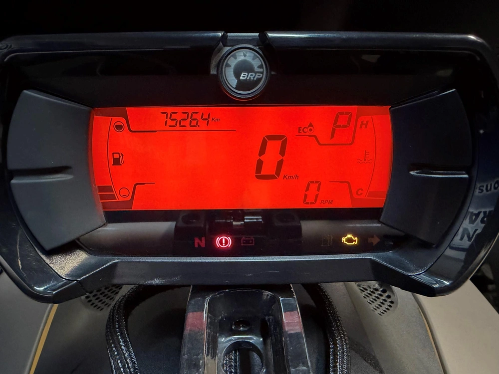Can-am Ryker Rally 900 Ace 2023 alt