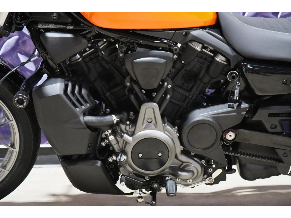 2024 Harley-davidson Rh975s Nightster Special alt