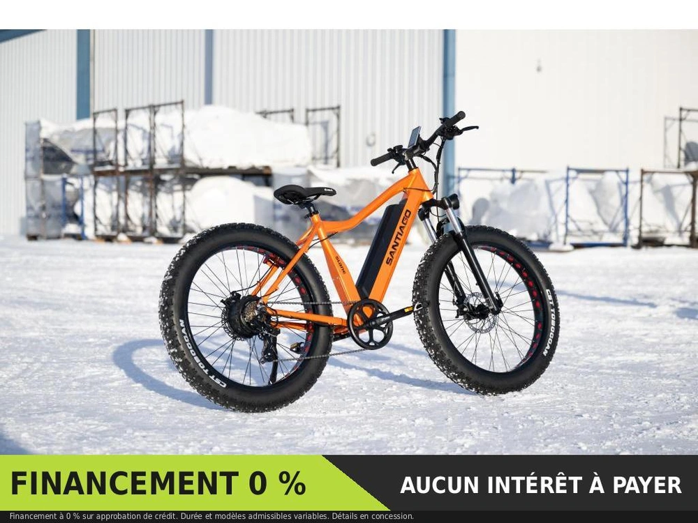 Slane Santiago Fat Tire 2024 alt