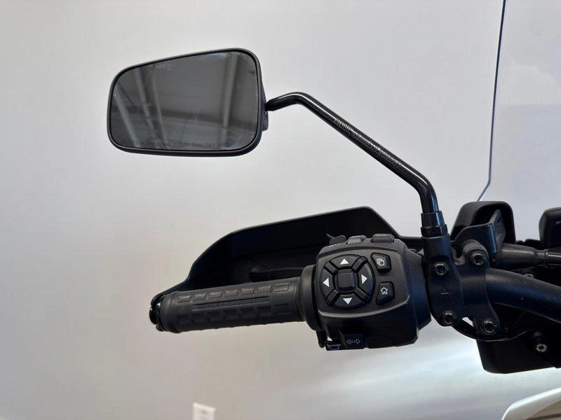 2022 Harley-davidson Adventure Ra1250s - Pan America™ 1250 Special alt