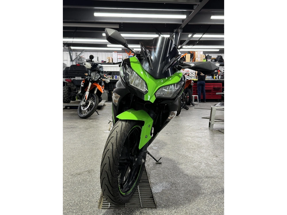 Kawasaki Ninja 300 2013 alt