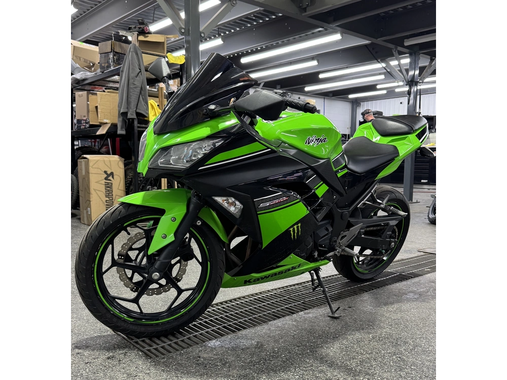 Kawasaki Ninja 300 2013 alt