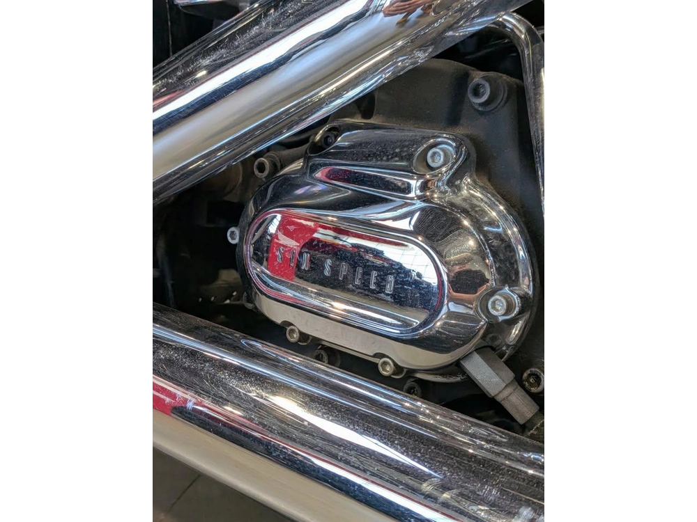 2009 Harley-davidson Heritage Softtail Flstc alt
