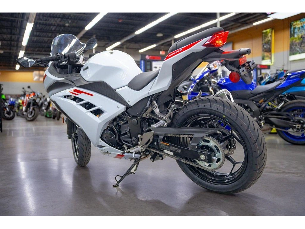 2026 Kawasaki Ninja® 300 Abs alt