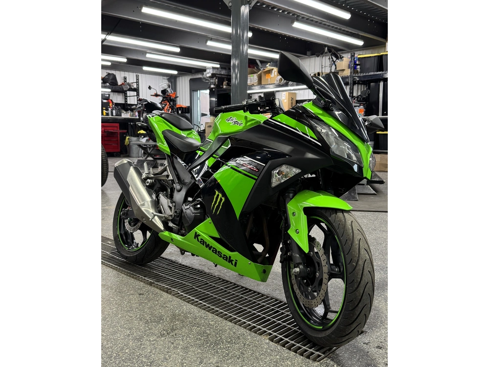 Kawasaki Ninja 300 2013 alt