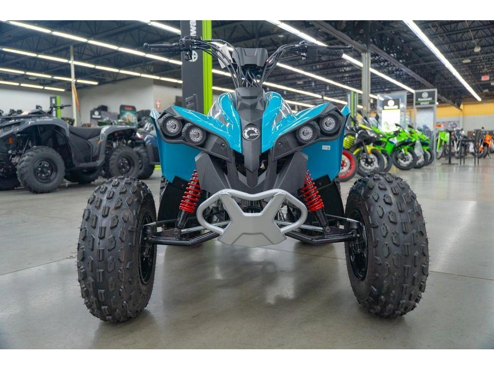2026 Can-am Renegade 110 Efi alt