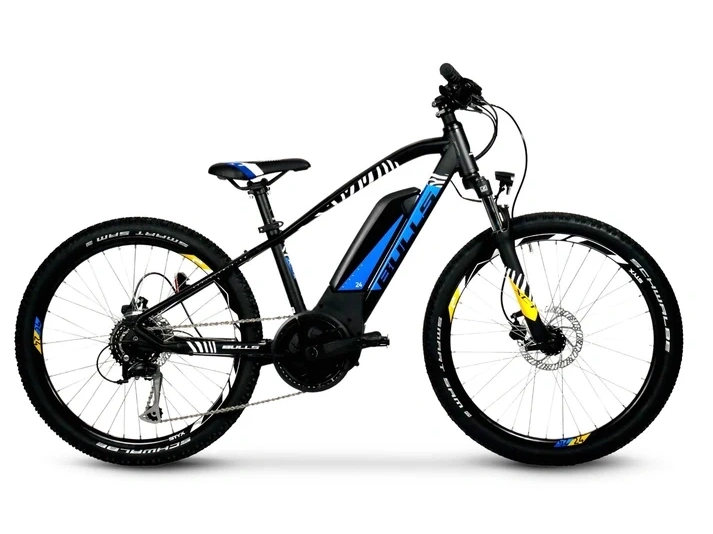 2025 Bulls Twenty4 E 32cm alt