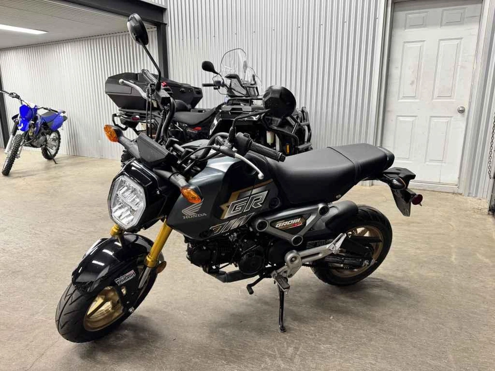 2024 Honda Grom Sp alt