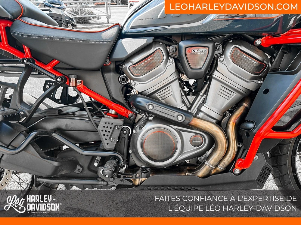 2025 Harley-davidson Ra1250se Cvo Pan America alt