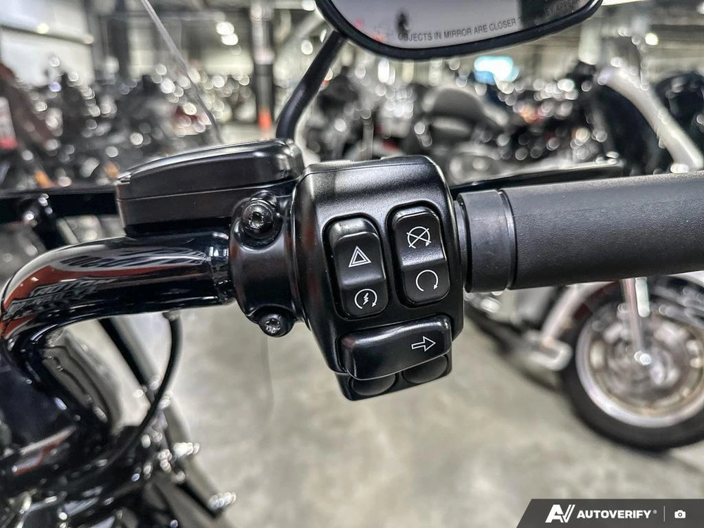 2024 Harley-davidson Flhrxs alt