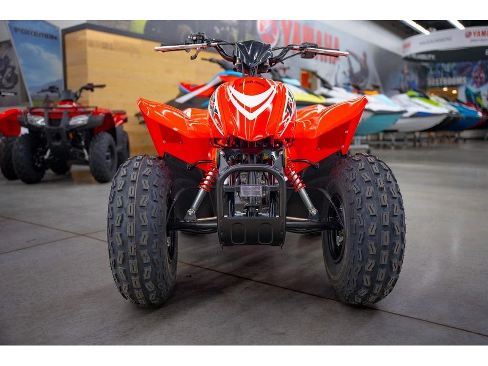 2026 Honda Trx90x alt