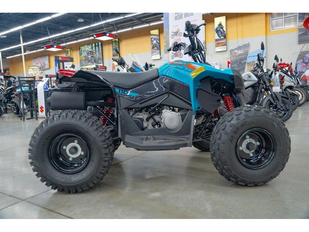2026 Can-am Renegade 110 Efi alt