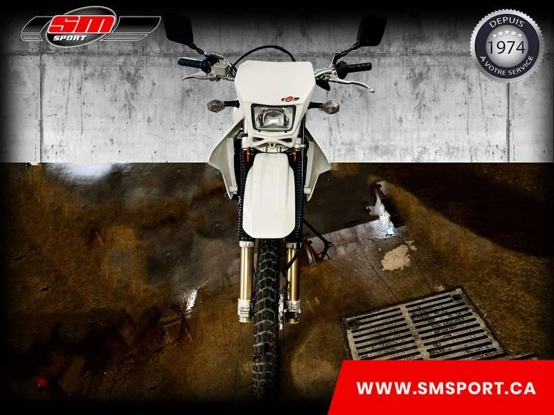 2018 Suzuki Dr-z400s alt