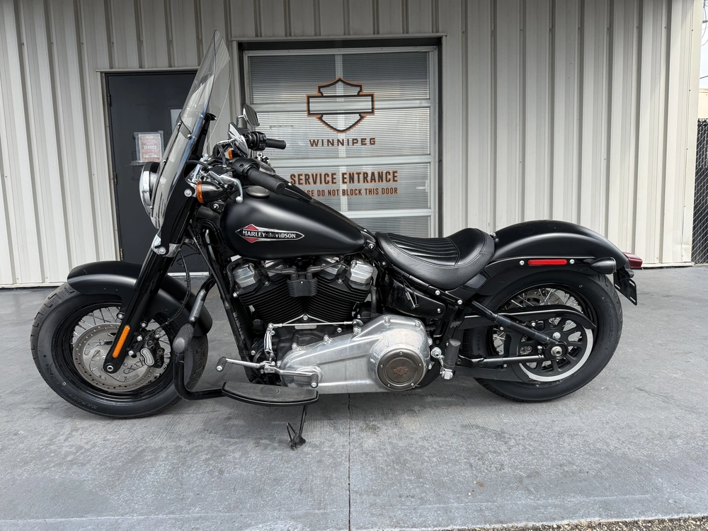 2019 Harley-davidson Flsl-slim alt