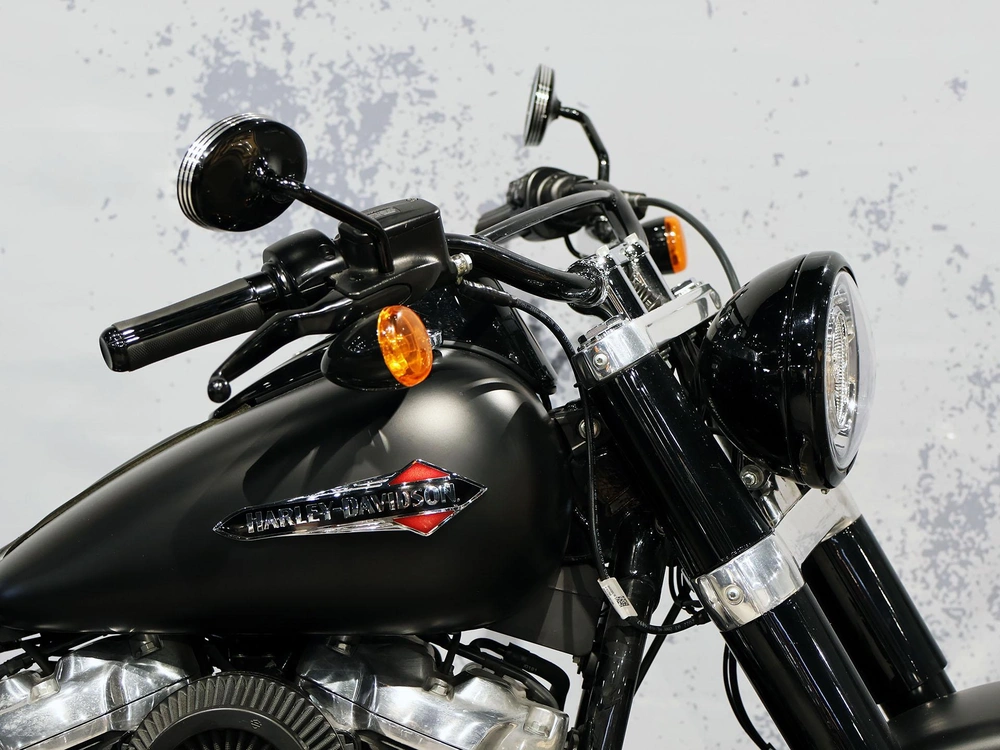 2019 Harley-davidson Softail Slim Flsl alt