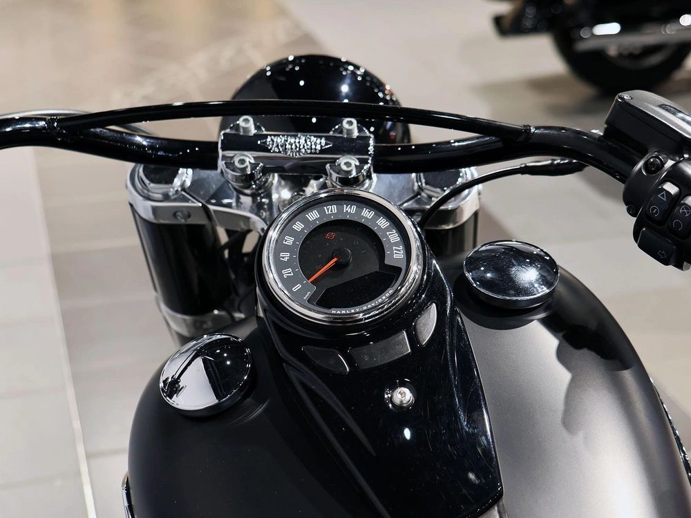 2019 Harley-davidson Softail Slim Flsl alt