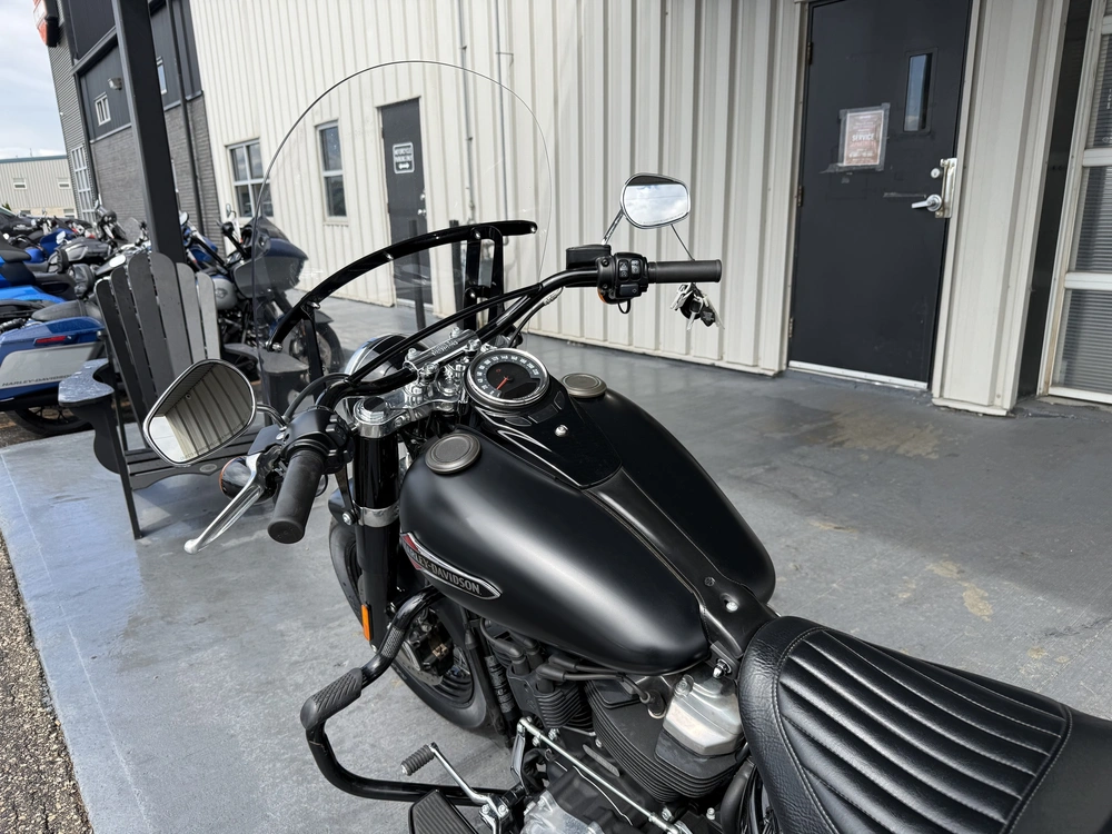 2019 Harley-davidson Flsl-slim alt