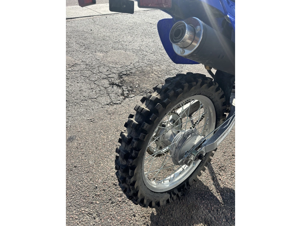 Yamaha Ttr 230 2025 alt