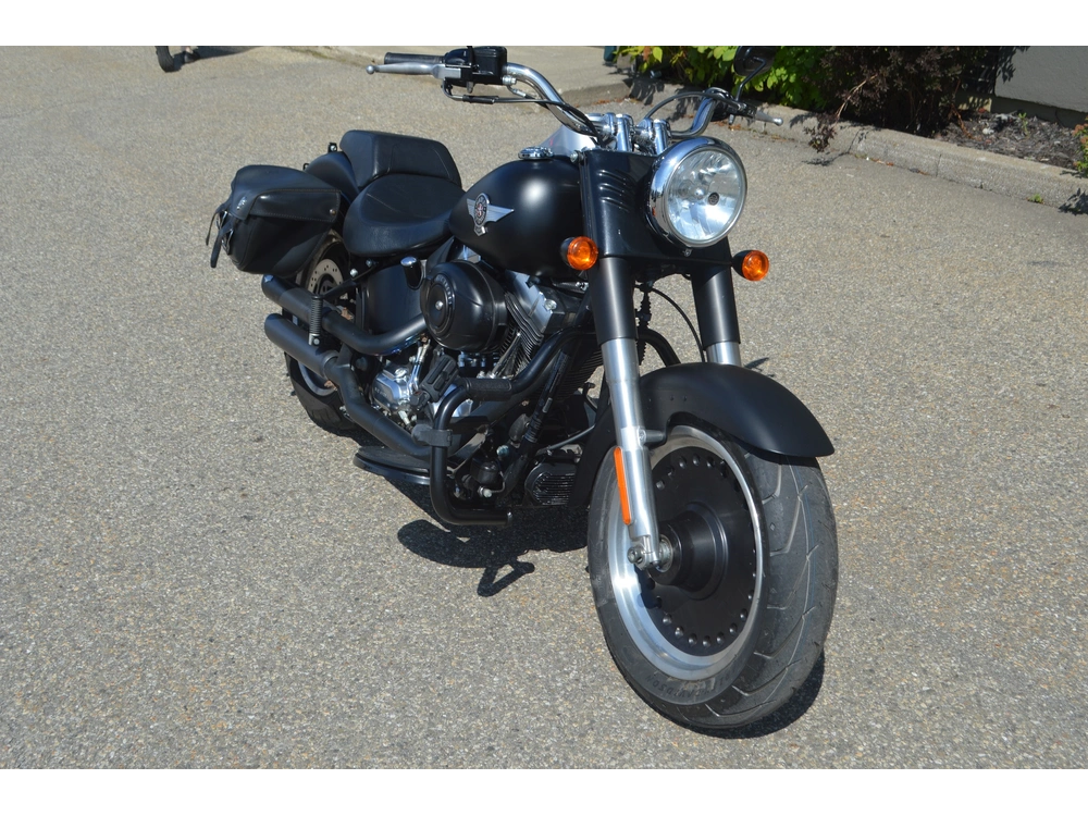 Harley-davidson Flstf 2012 alt