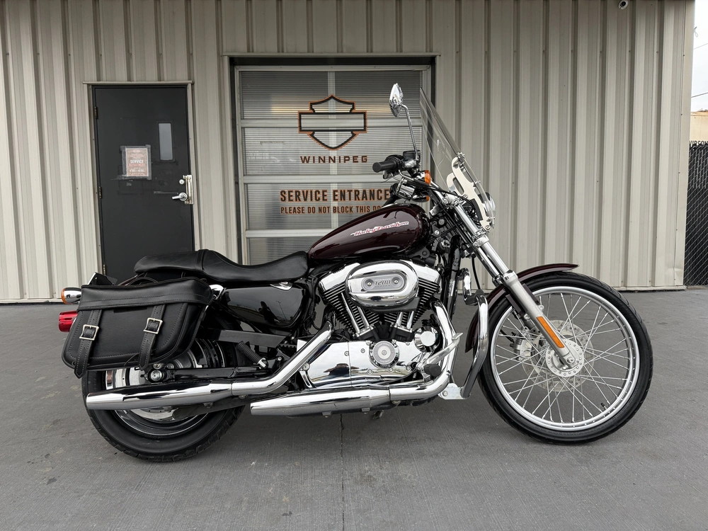 2007 Harley-davidson 1200 Custom alt