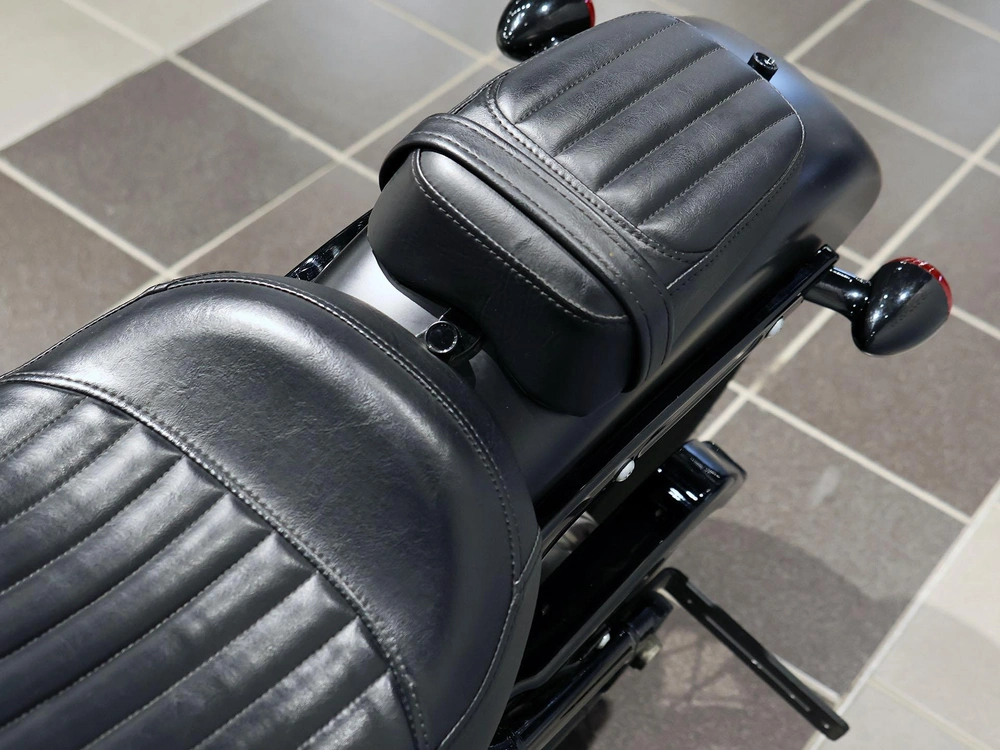 2019 Harley-davidson Softail Slim Flsl alt