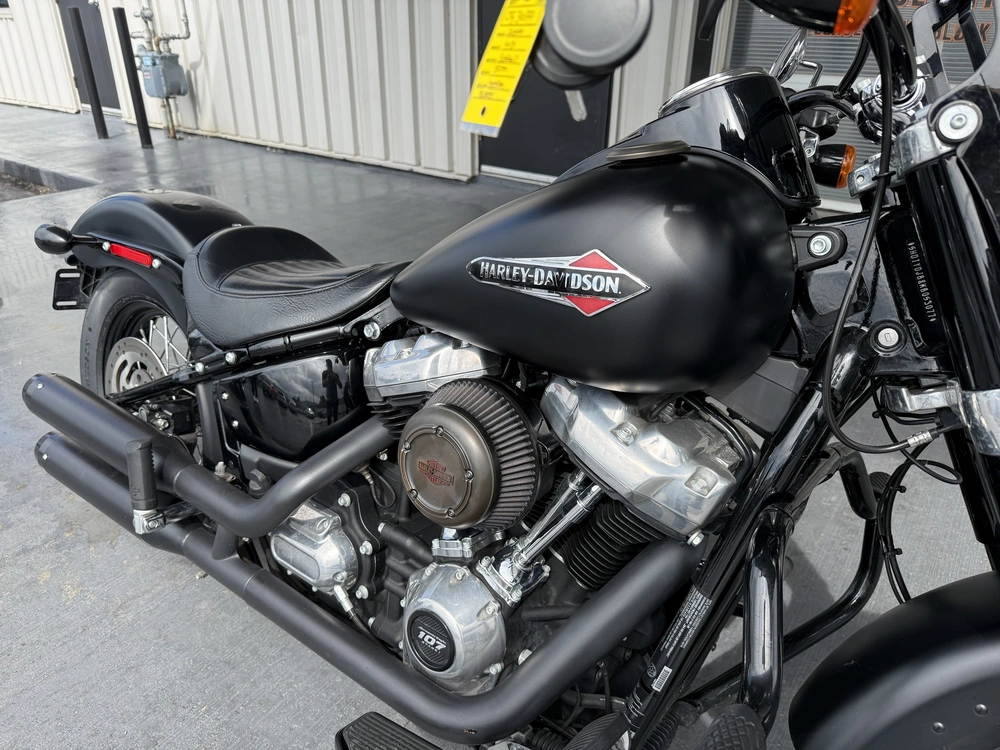 2019 Harley-davidson Flsl-slim alt
