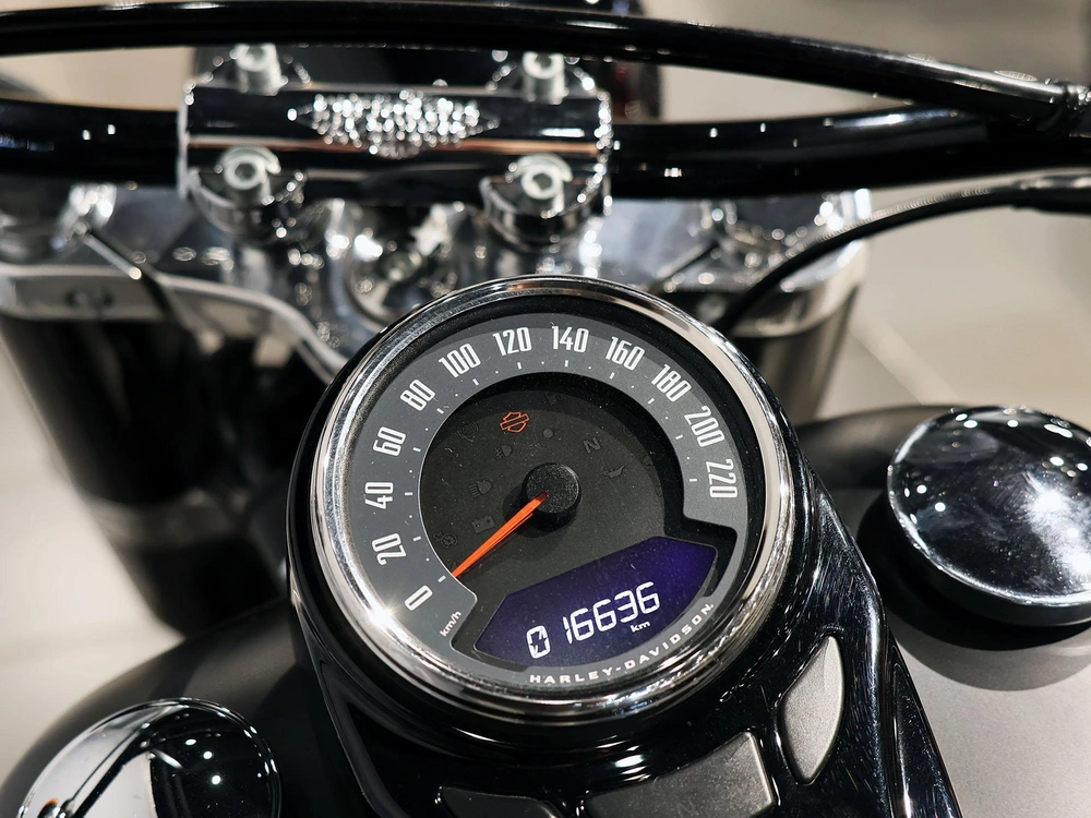 2019 Harley-davidson Softail Slim Flsl alt