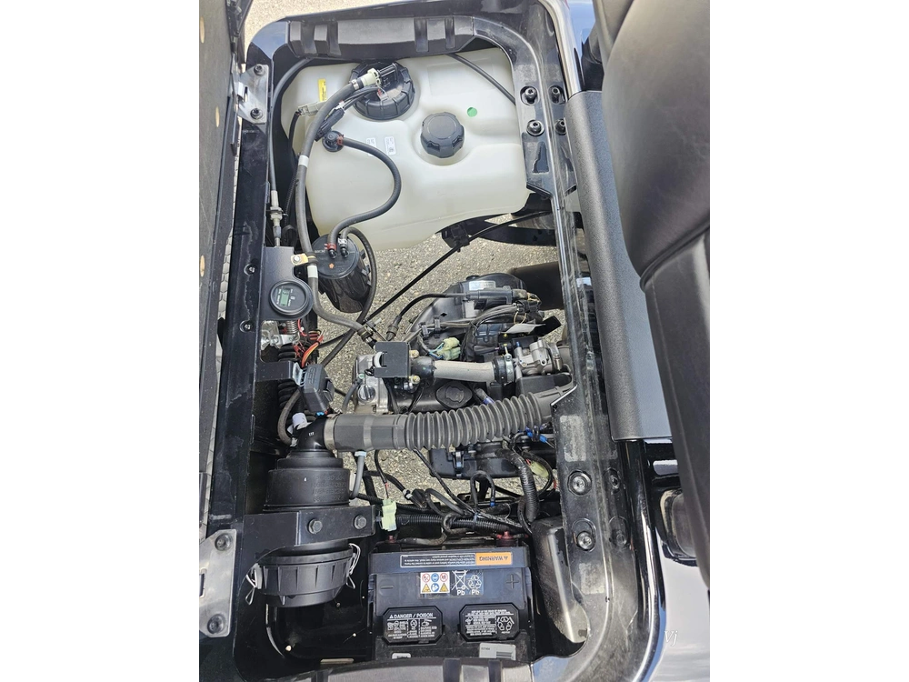 2026 E-z-go Rxv Gas-efi alt