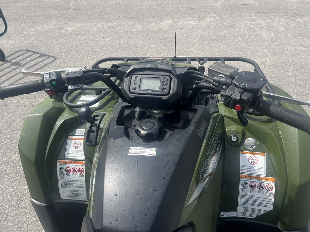 2020 Yamaha Kodiak 450 Eps alt
