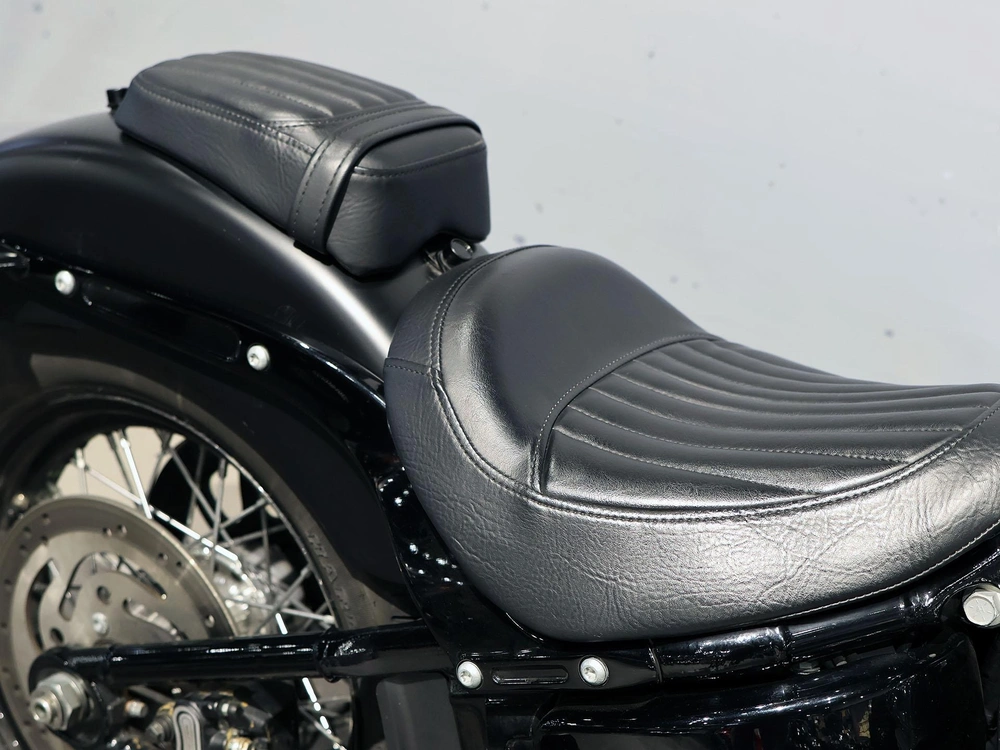2019 Harley-davidson Softail Slim Flsl alt