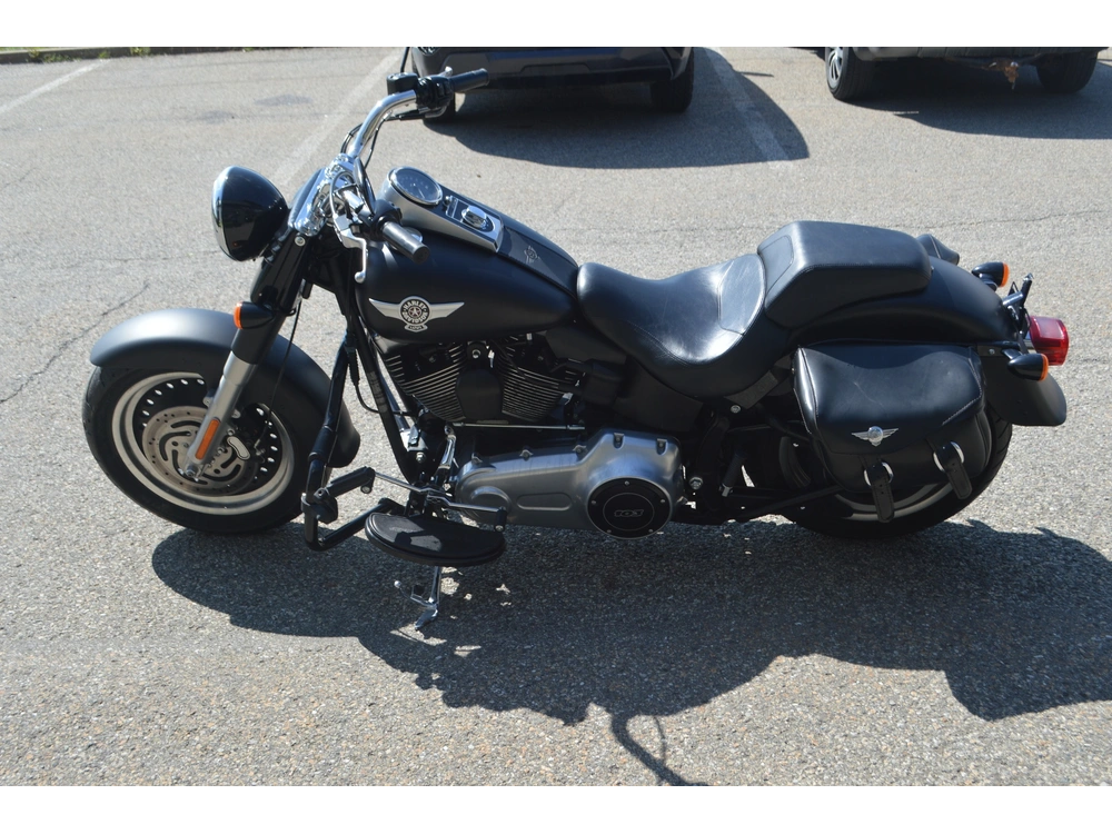 Harley-davidson Flstf 2012 alt
