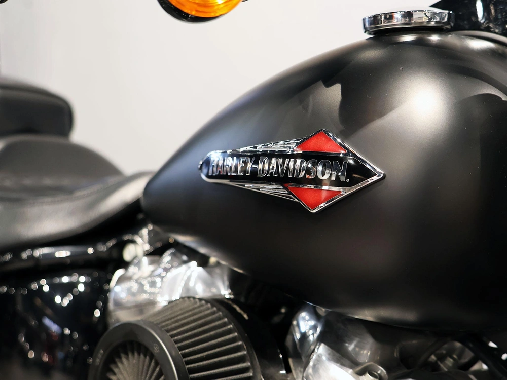 2019 Harley-davidson Softail Slim Flsl alt