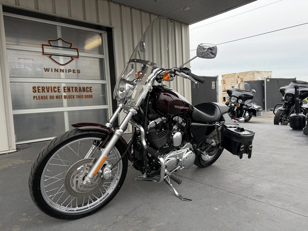 2007 Harley-davidson 1200 Custom alt