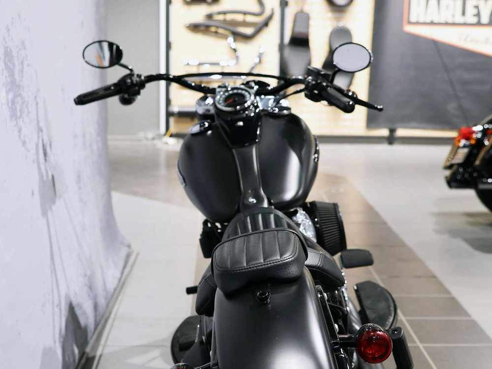 2019 Harley-davidson Softail Slim Flsl alt