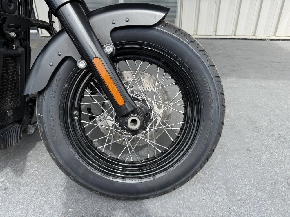 2019 Harley-davidson Flsl-slim alt