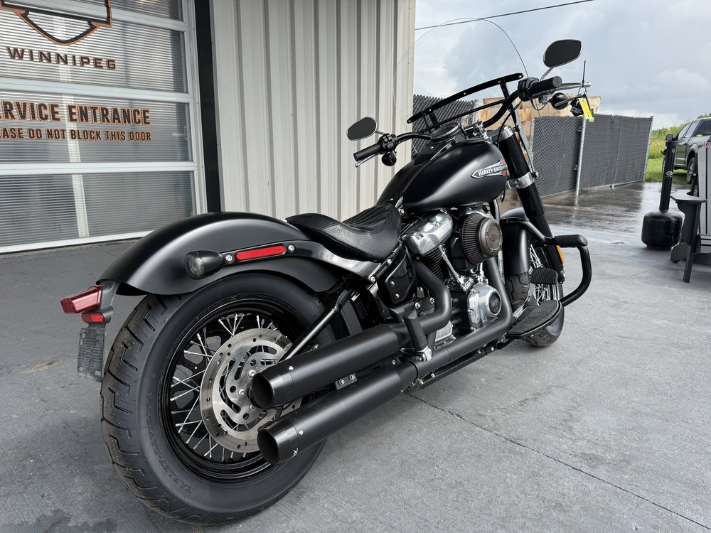 2019 Harley-davidson Flsl-slim alt