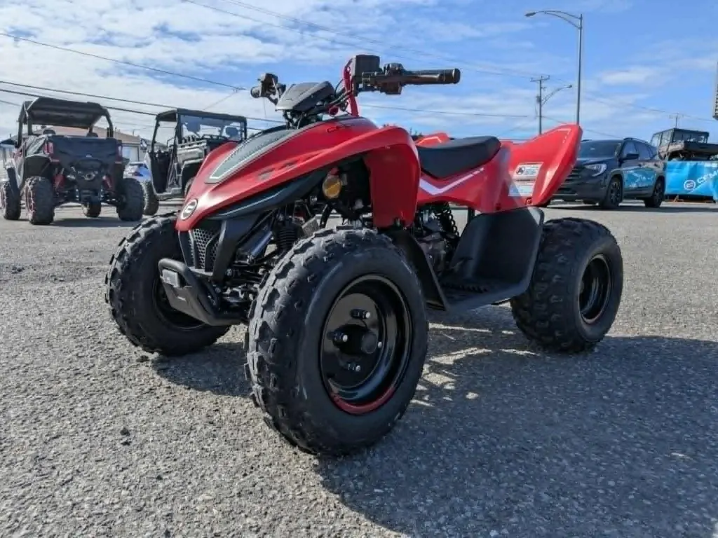 CFMOTO CFORCE 110  2026