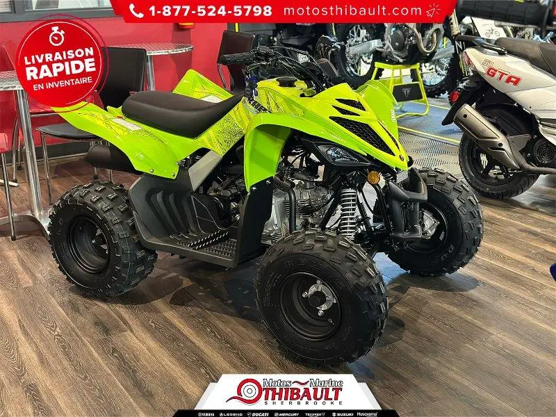 Yamaha Raptor 110  2026