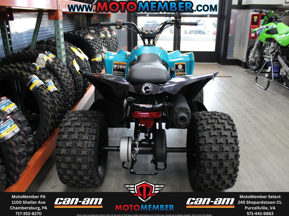 2026 Can-am Renegade 110 Efi alt