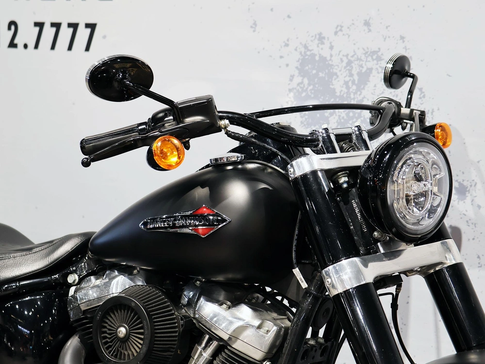 2019 Harley-davidson Softail Slim Flsl alt
